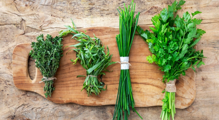 Conserver ses herbes fraîches plus longtemps
